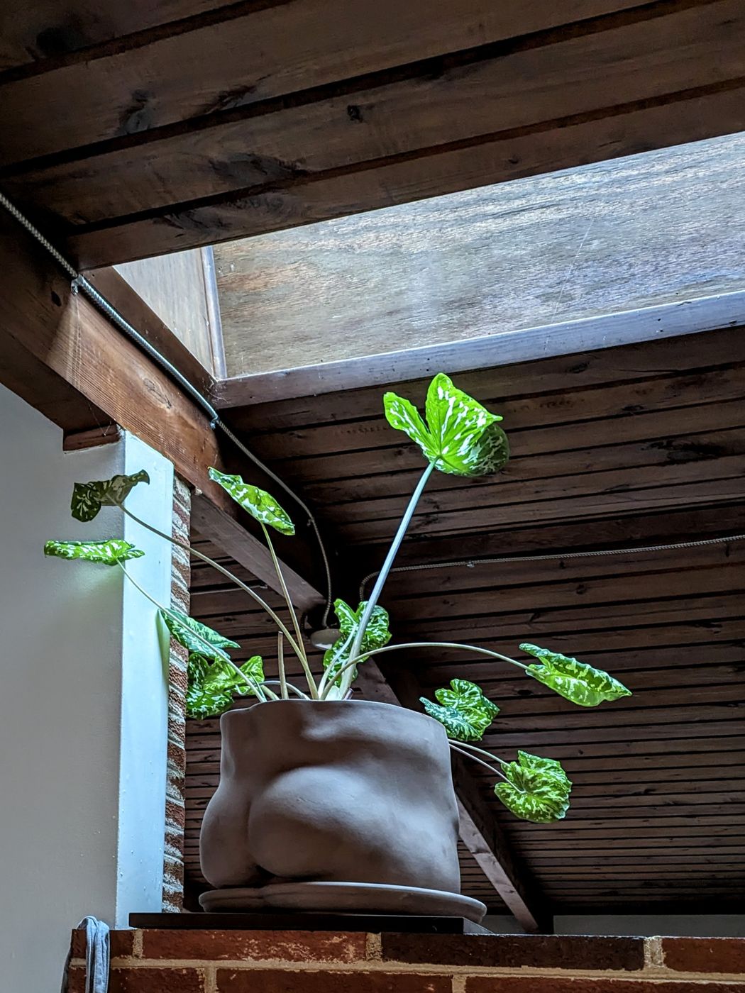 A clerestory window set between dark wood beams and a slatted wood ceiling above a brick ledge
